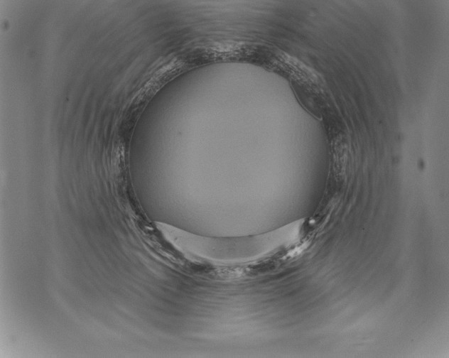 X0000076100225200610152351