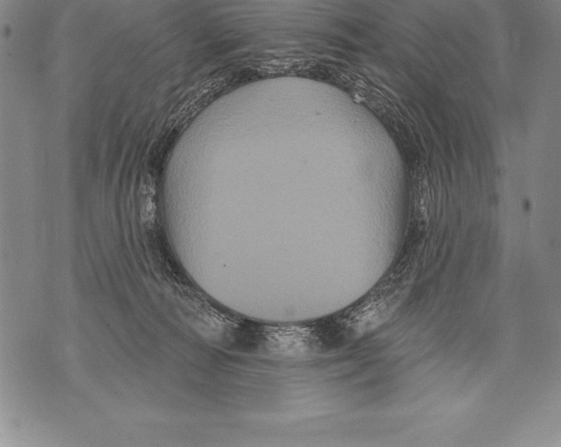 X0000076100226200610152351