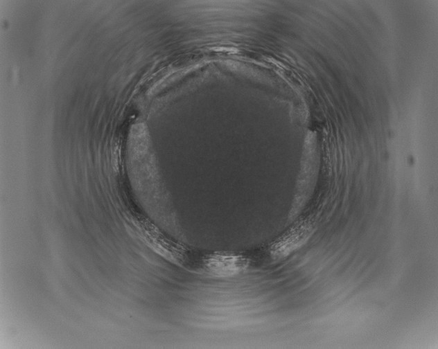 X0000076100227200610152351