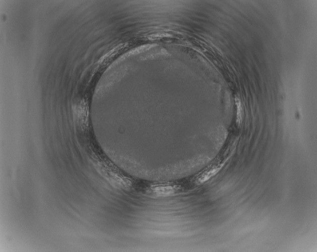 X0000076100228200610152351