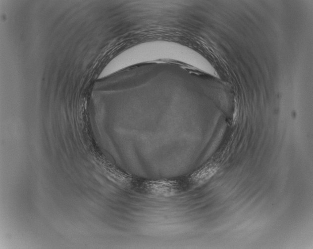 X0000076100229200610152351