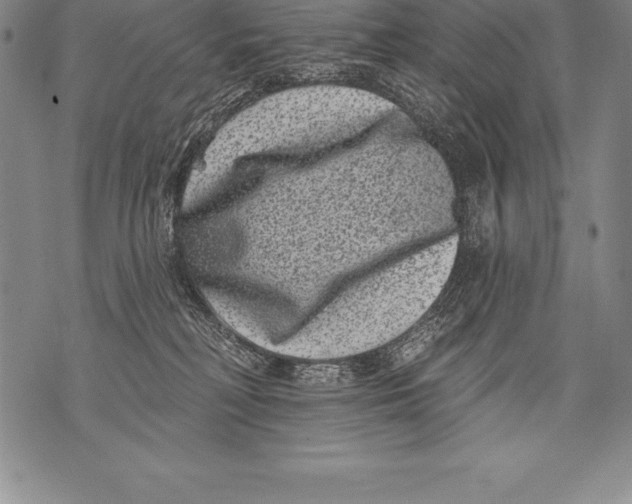 X0000076100230200610152351