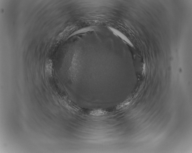 X0000076100231200610152351