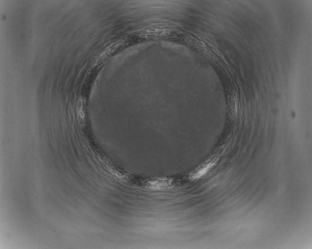 X0000076100232200610152351