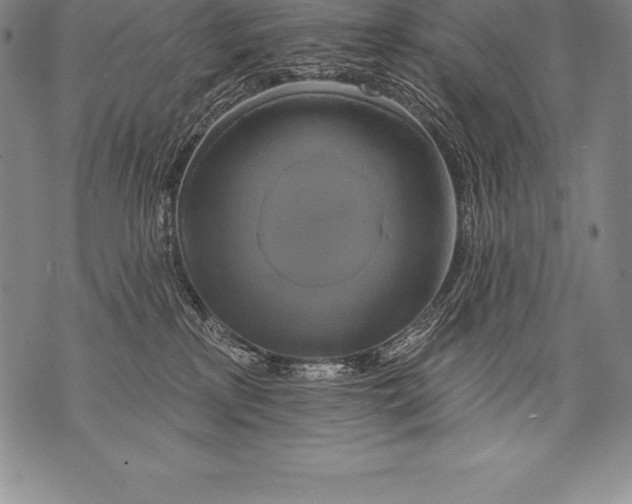 X0000076100233200610152351