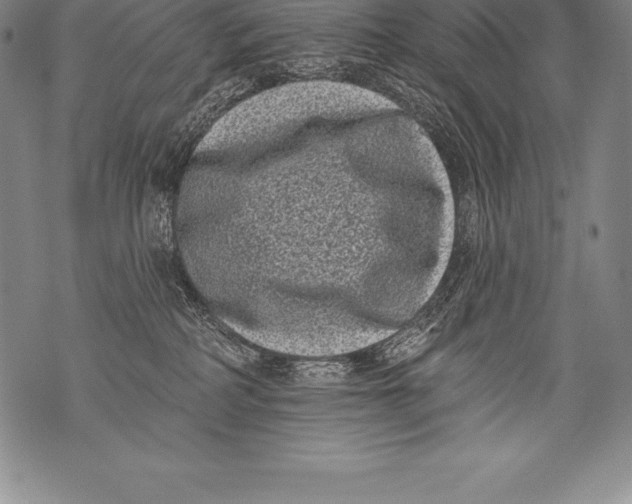 X0000076100234200610152351