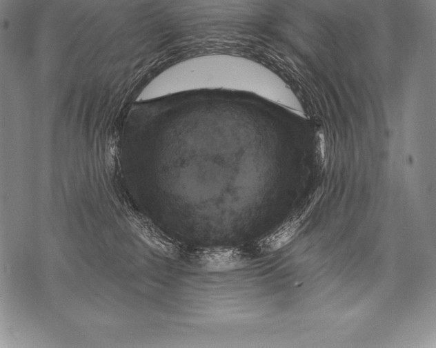 X0000076100235200610152351