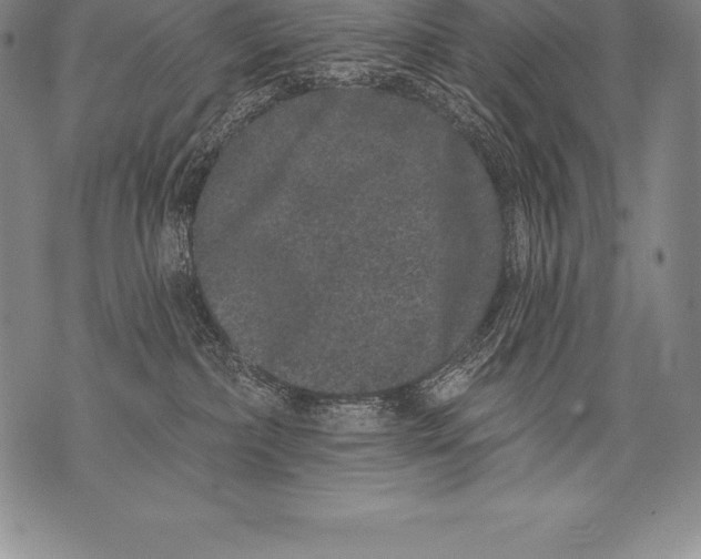 X0000076100236200610152351