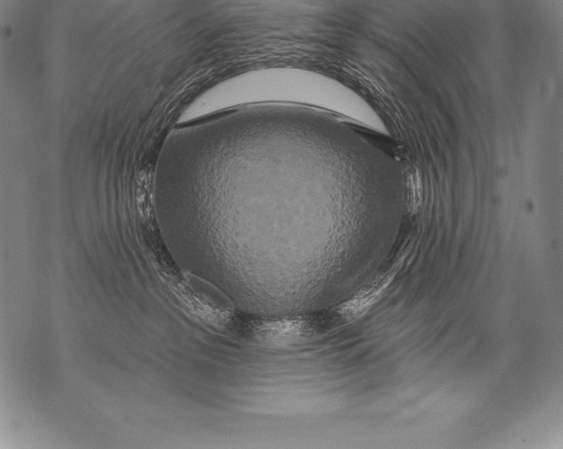 X0000076100237200610152351