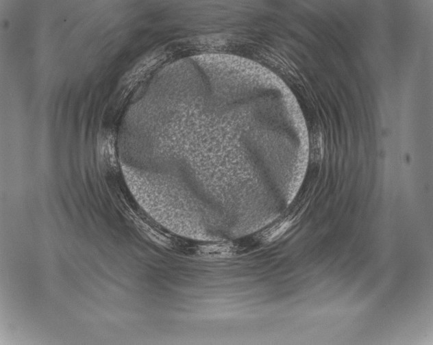 X0000076100238200610152351