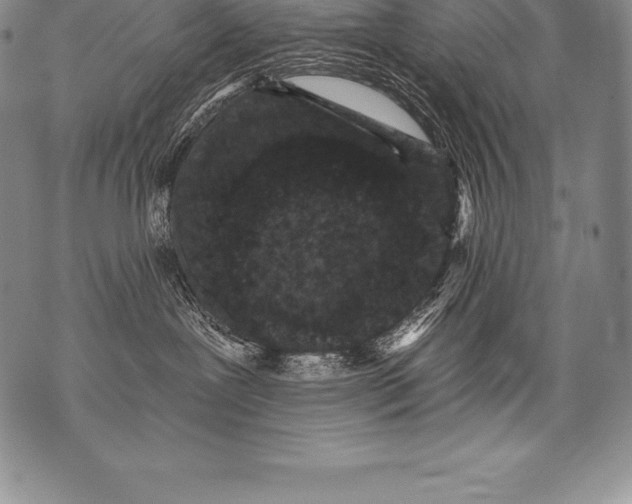 X0000076100239200610152351