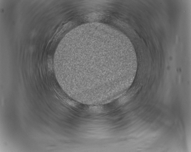 X0000076100240200610152351