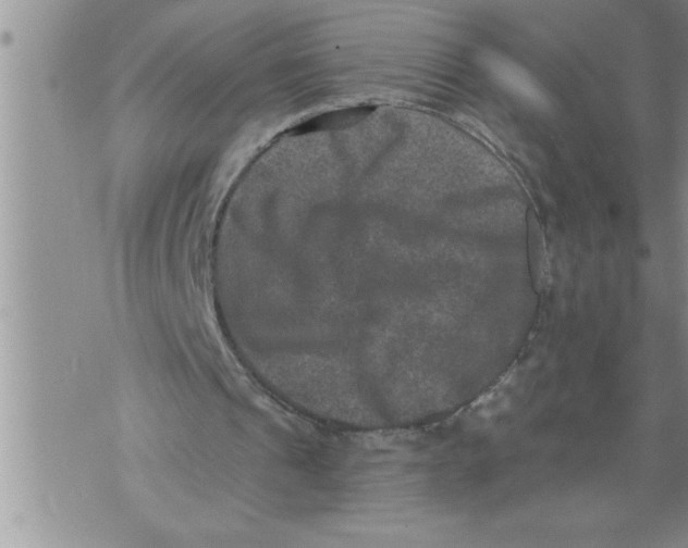 X0000076100241200610152350