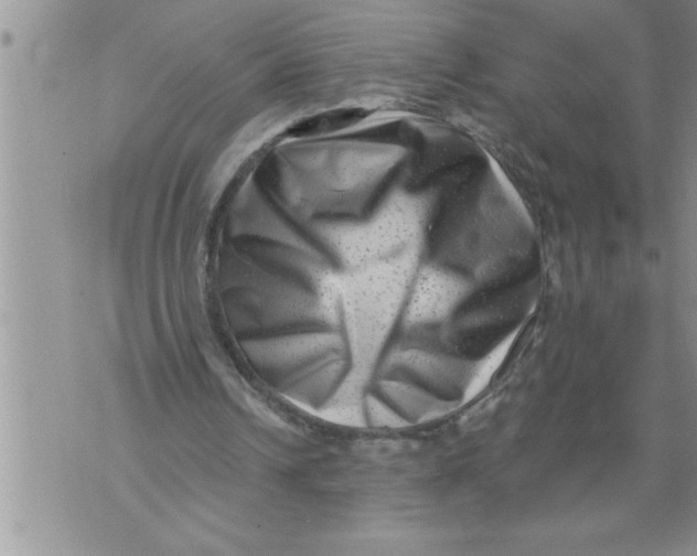 X0000076100242200610152350