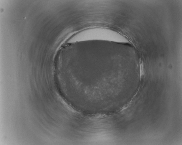 X0000076100243200610152350