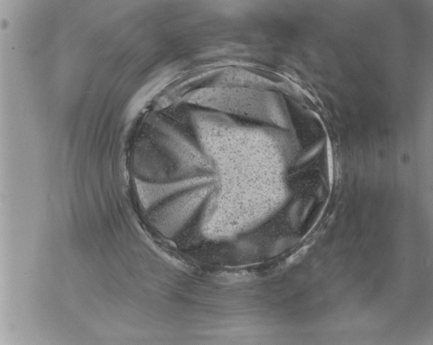 X0000076100245200610152350