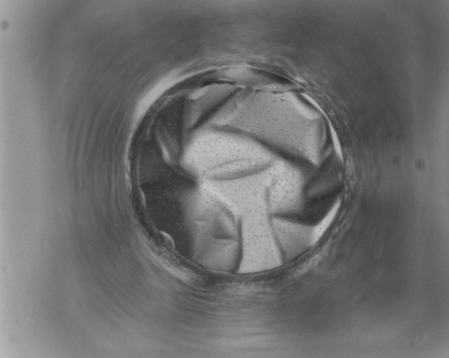 X0000076100246200610152350