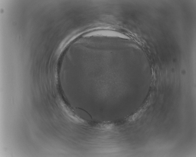 X0000076100247200610152350