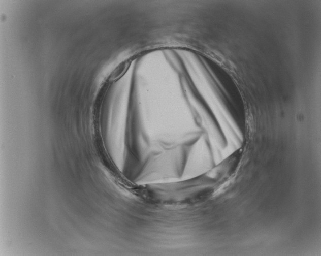 X0000076100248200610152350