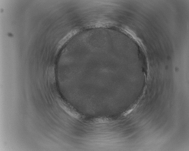 X0000076100250200610152350