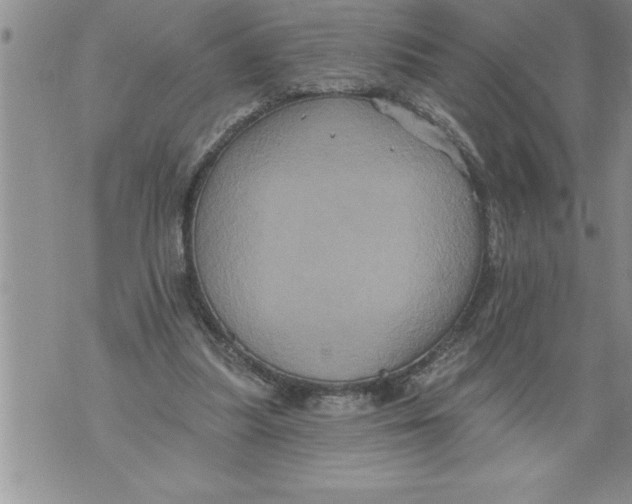 X0000076100251200610152350