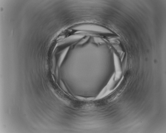 X0000076100252200610152350