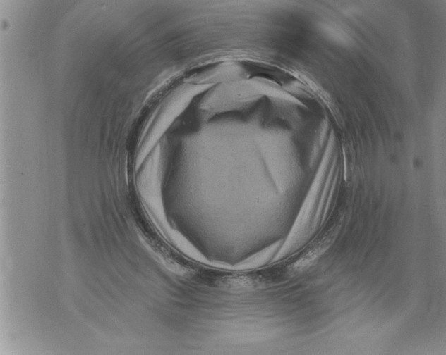 X0000076100253200610152350