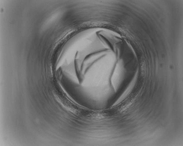 X0000076100254200610152350