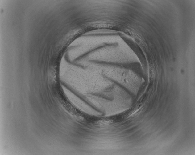 X0000076100255200610152350