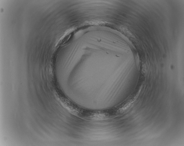 X0000076100256200610152350