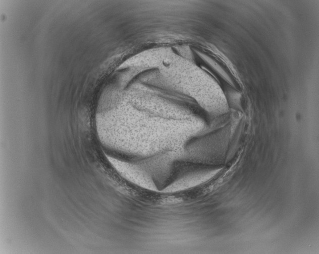 X0000076100257200610152350