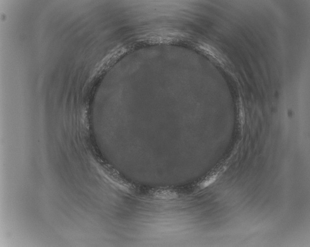 X0000076100258200610152351