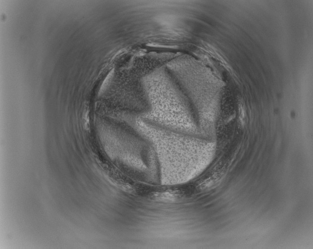 X0000076100259200610152351