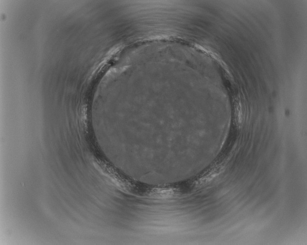 X0000076100260200610152351