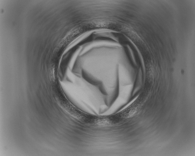 X0000076100262200610152351