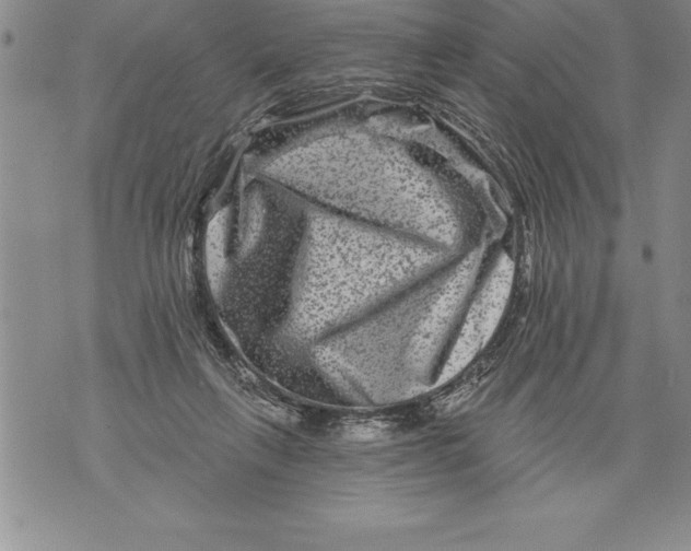 X0000076100263200610152351