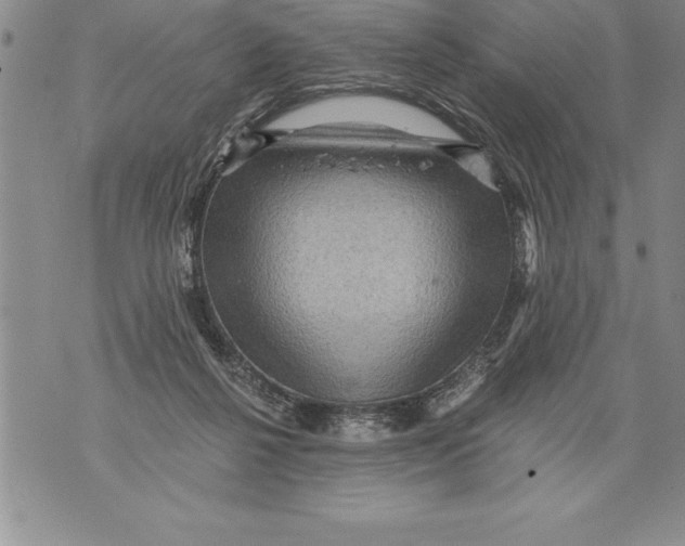 X0000076100264200610152351