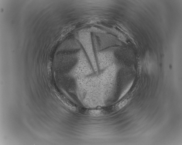 X0000076100265200610152351