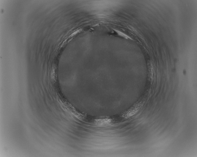 X0000076100266200610152351