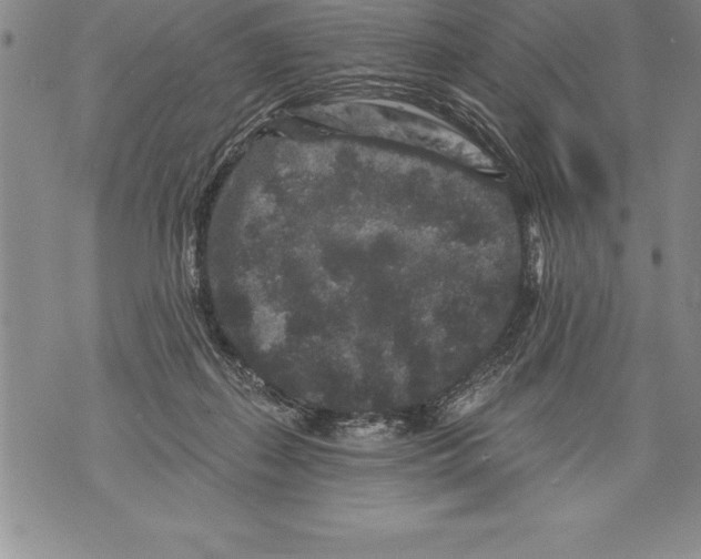 X0000076100267200610152351