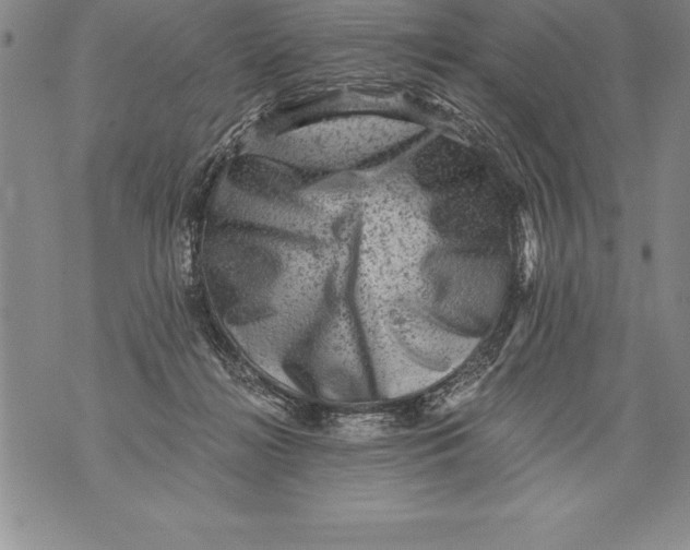 X0000076100268200610152351