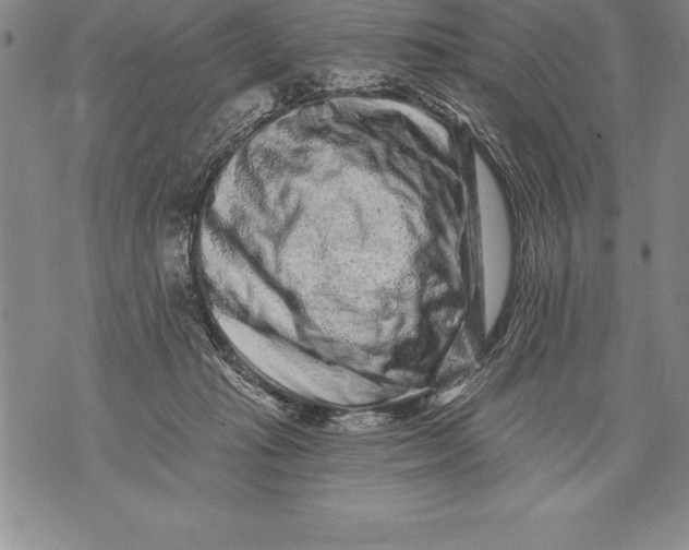 X0000076100269200610152351