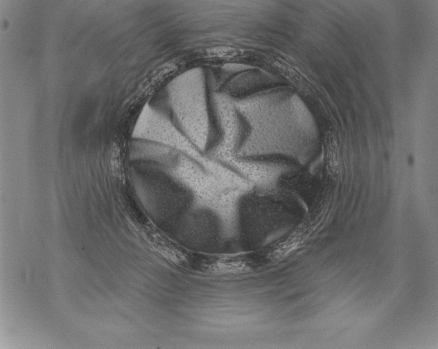 X0000076100270200610152351