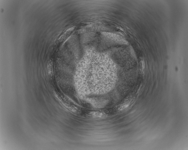 X0000076100272200610152351