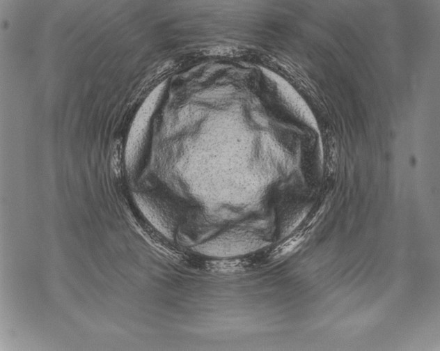 X0000076100273200610152351