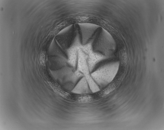 X0000076100274200610152351