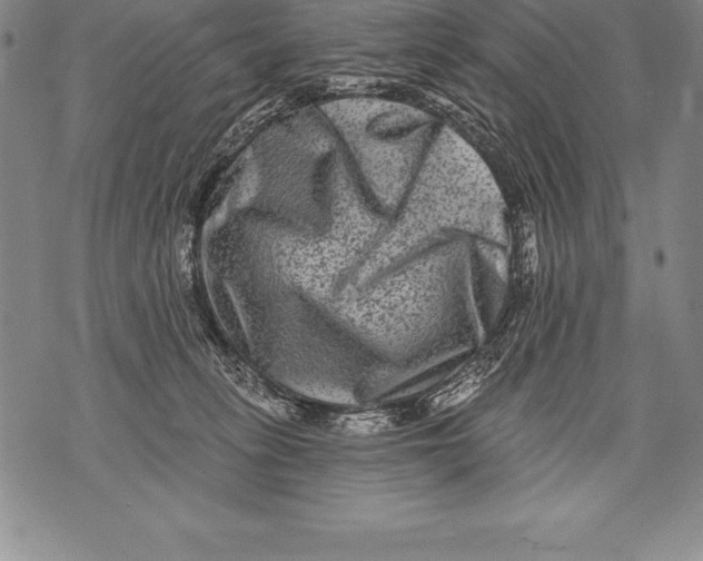 X0000076100275200610152351