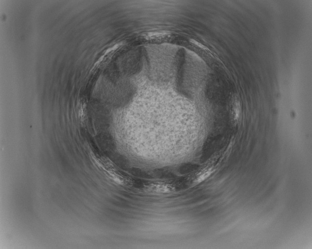 X0000076100276200610152351