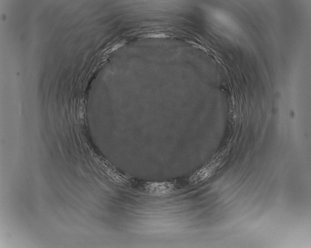 X0000076100277200610152351