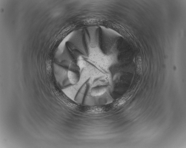 X0000076100278200610152351